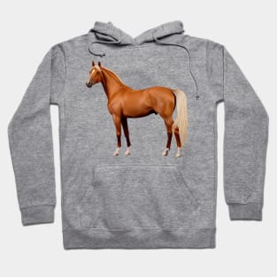 HORSE. Hoodie